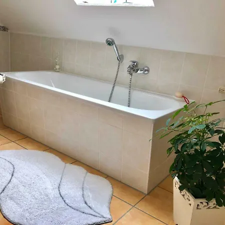 公寓 Ferienwohnung Sturmvogel 萨斯尼茨